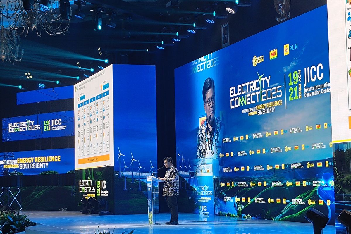 Indonesia targets electrification of 10,000 remote areas in five years