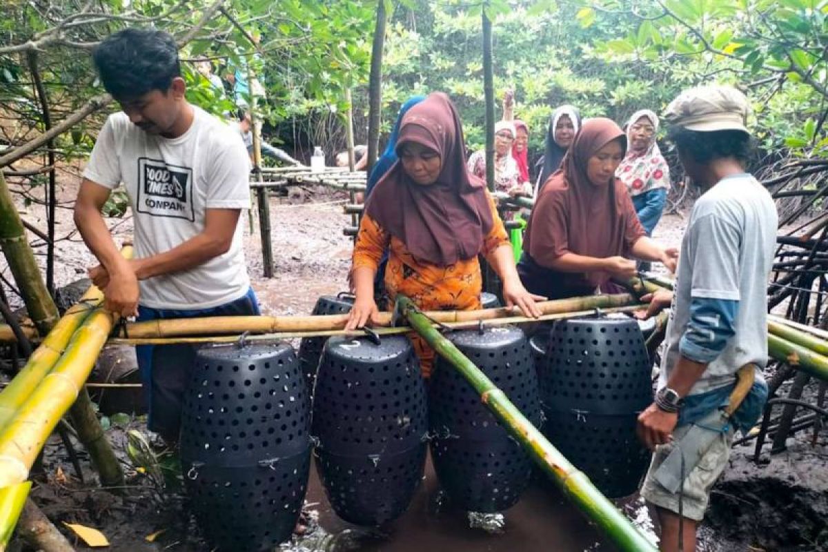 KKP diseminasi inovasi teknologi bantu nelayan-pembudidaya kepiting