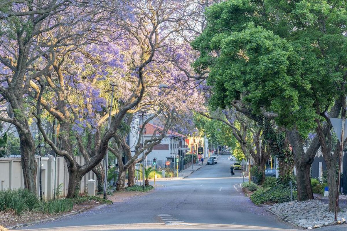 Menlu Afsel: AS perlu hadir di KTT G20 untuk serah terima presidensi