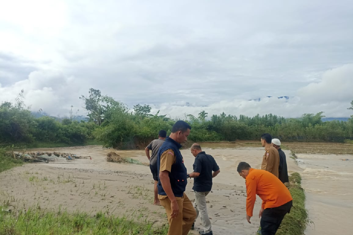 Banjir di Gayo Lues rendam 70 hektare lahan pertanian warga