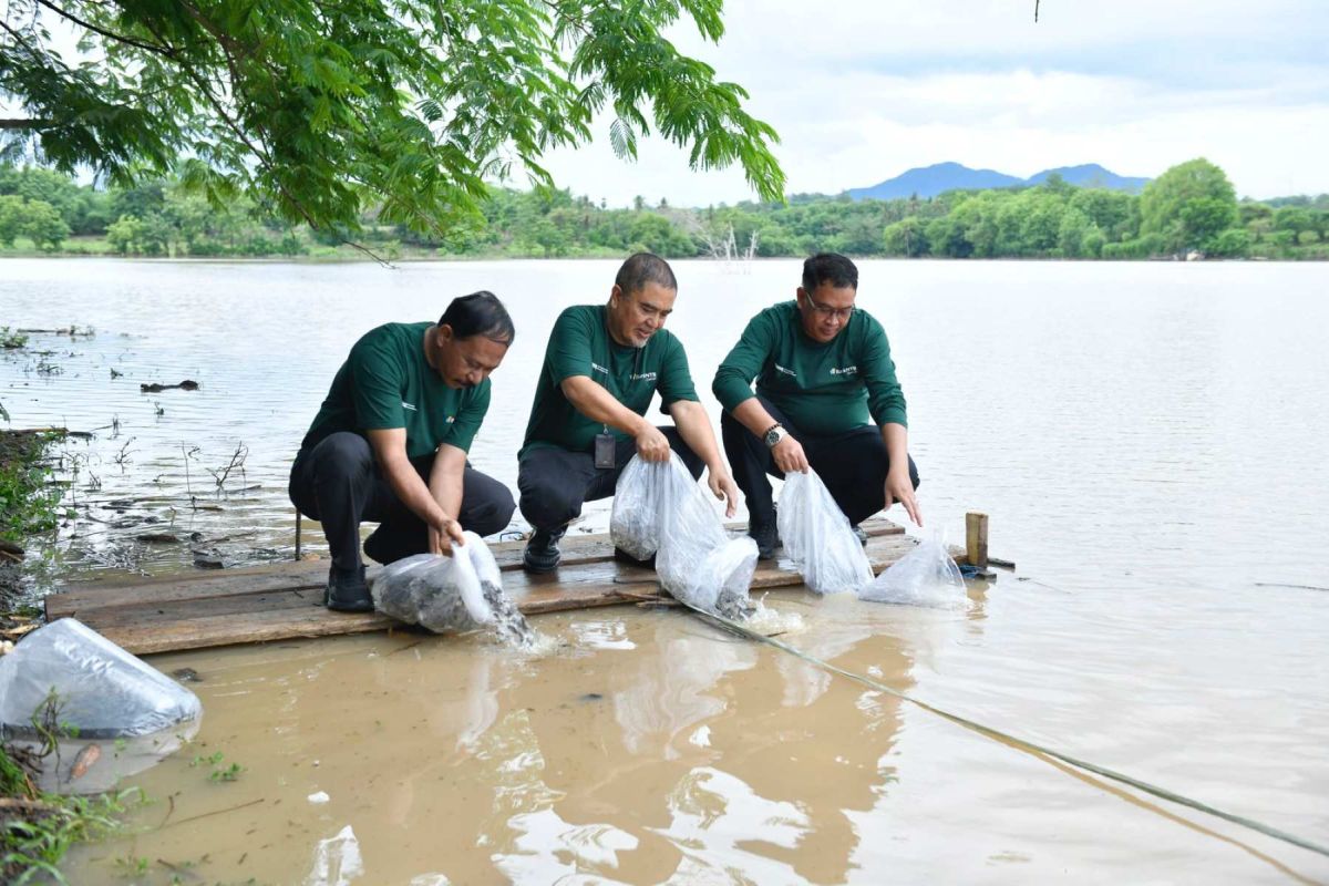 Bank NTB Syariah tebar benih ikan dan tanam 1.500 pohon di Sumbawa