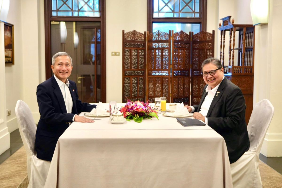 Indonesia-Singapura buka peluang perluas investasi berkelanjutan