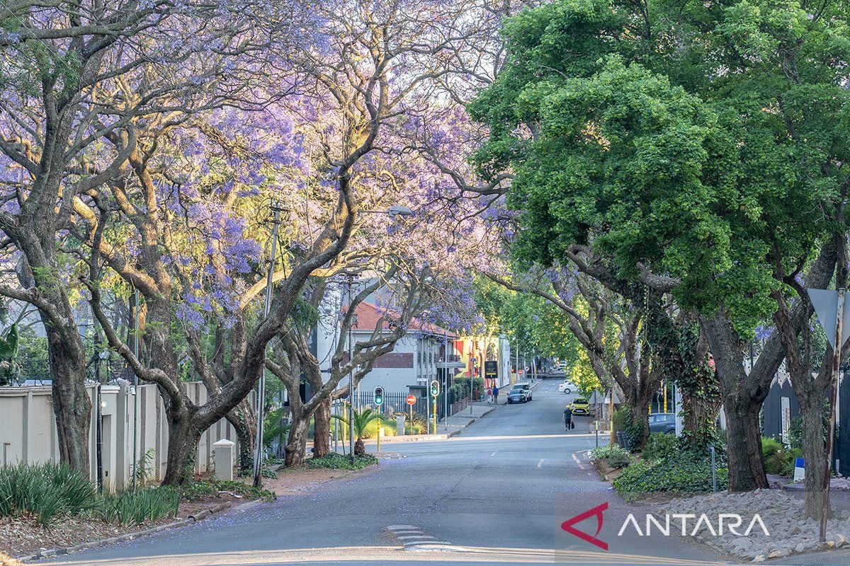 Menlu Afsel: AS perlu hadir di KTT G20 untuk serah terima presidensi