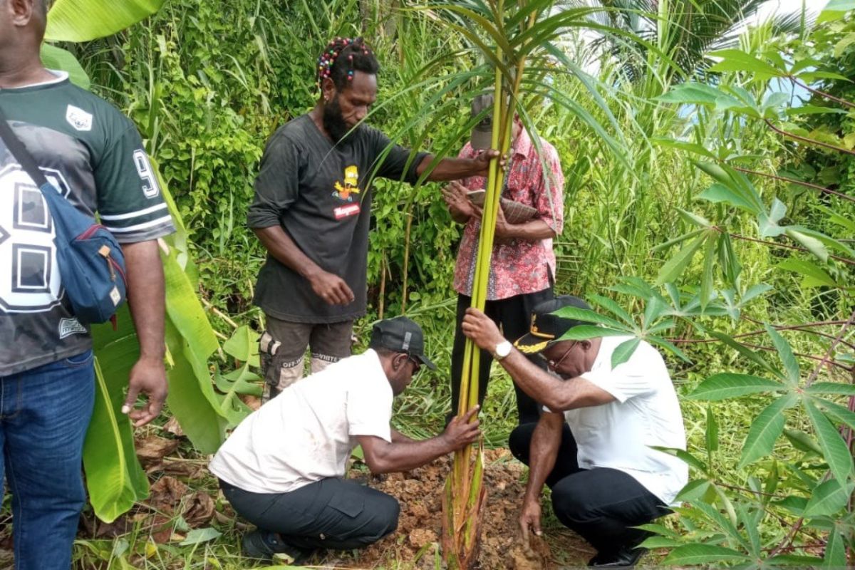 Pemkab Jayapura ajak warga menjjaga hutan sagu