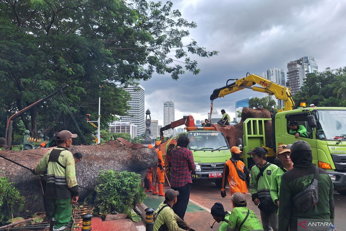 Pohon tumbang, MRT Jakarta evakuasi 524 pelanggan