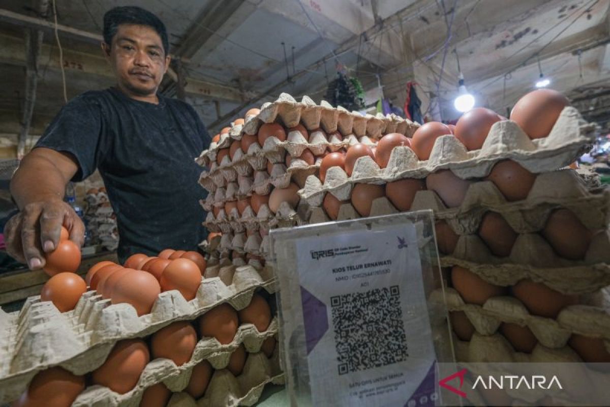 Harga telur ayam Rp32.600/kg, cabai rawit Rp80.350/kg