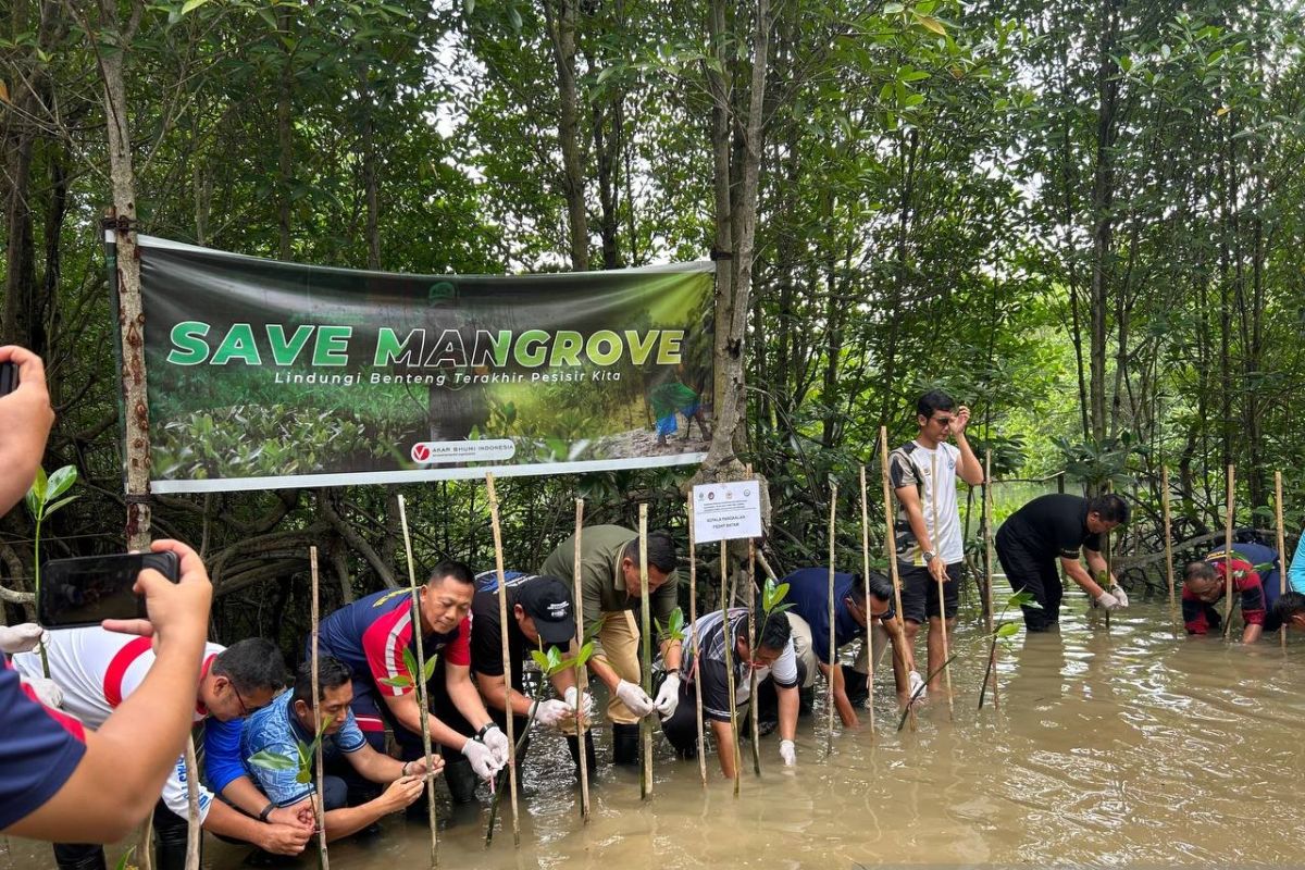PSDKP Batam tanam 200 bibit Mangrove jaga ekosistem pesisir