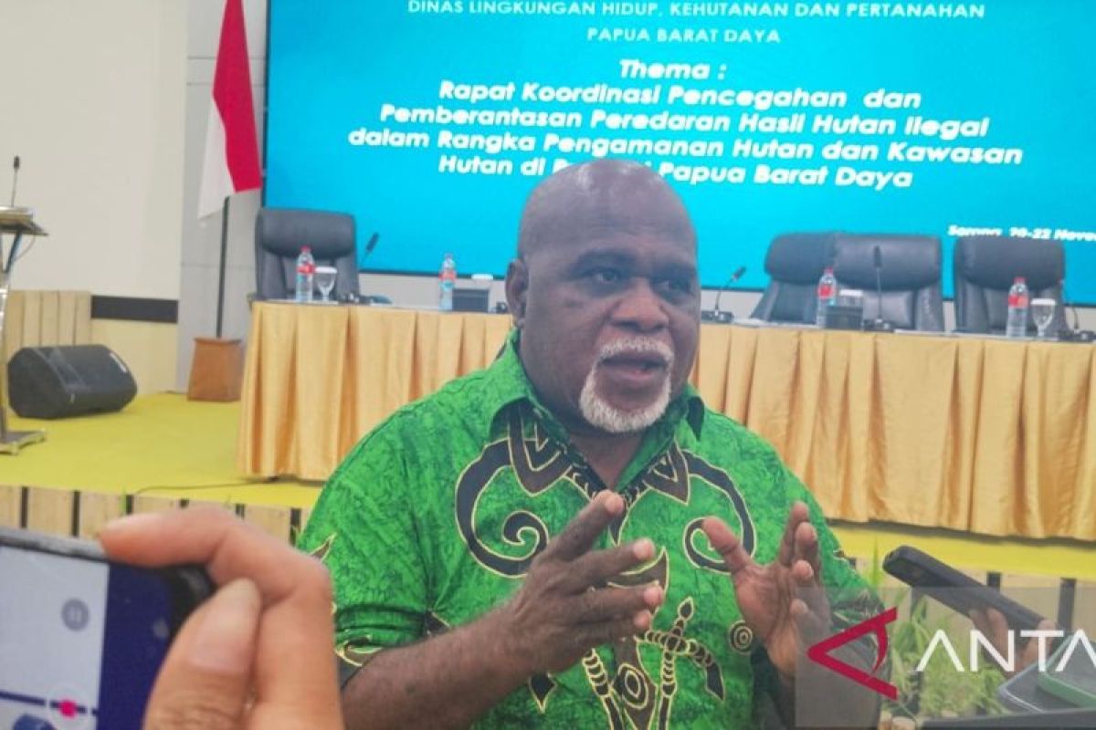 PBD harap revisi UU Kehutanan untuk legalkan pemanfaatan kayu