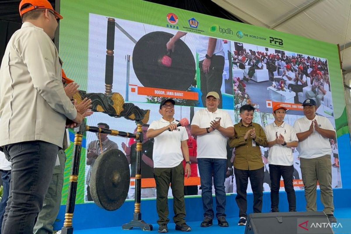 Govt plants 216,000 trees in four provinces to tackle disaster risk