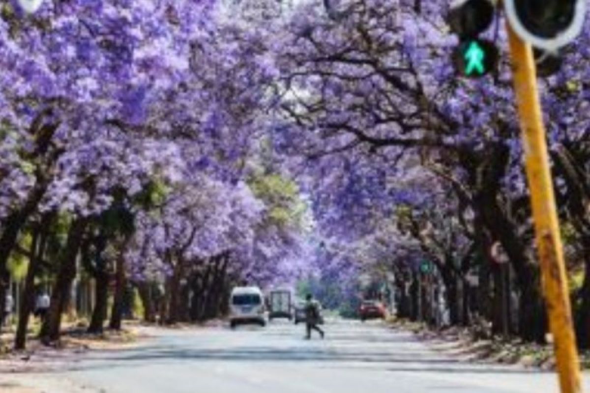 AS Tegaskan Tidak Hadir di KTT G20 Afrika Selatan