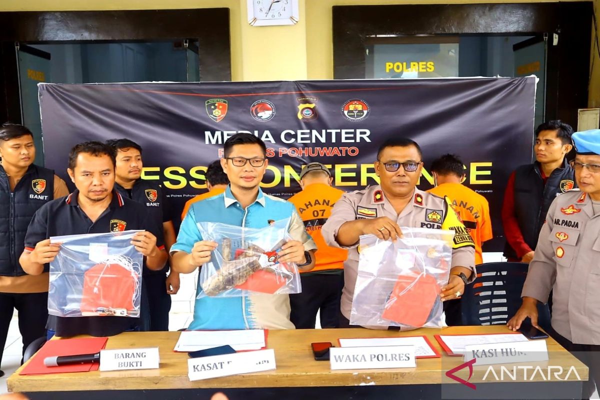 Polres Pohuwato ungkap kasus pertambangan emas tanpa izin