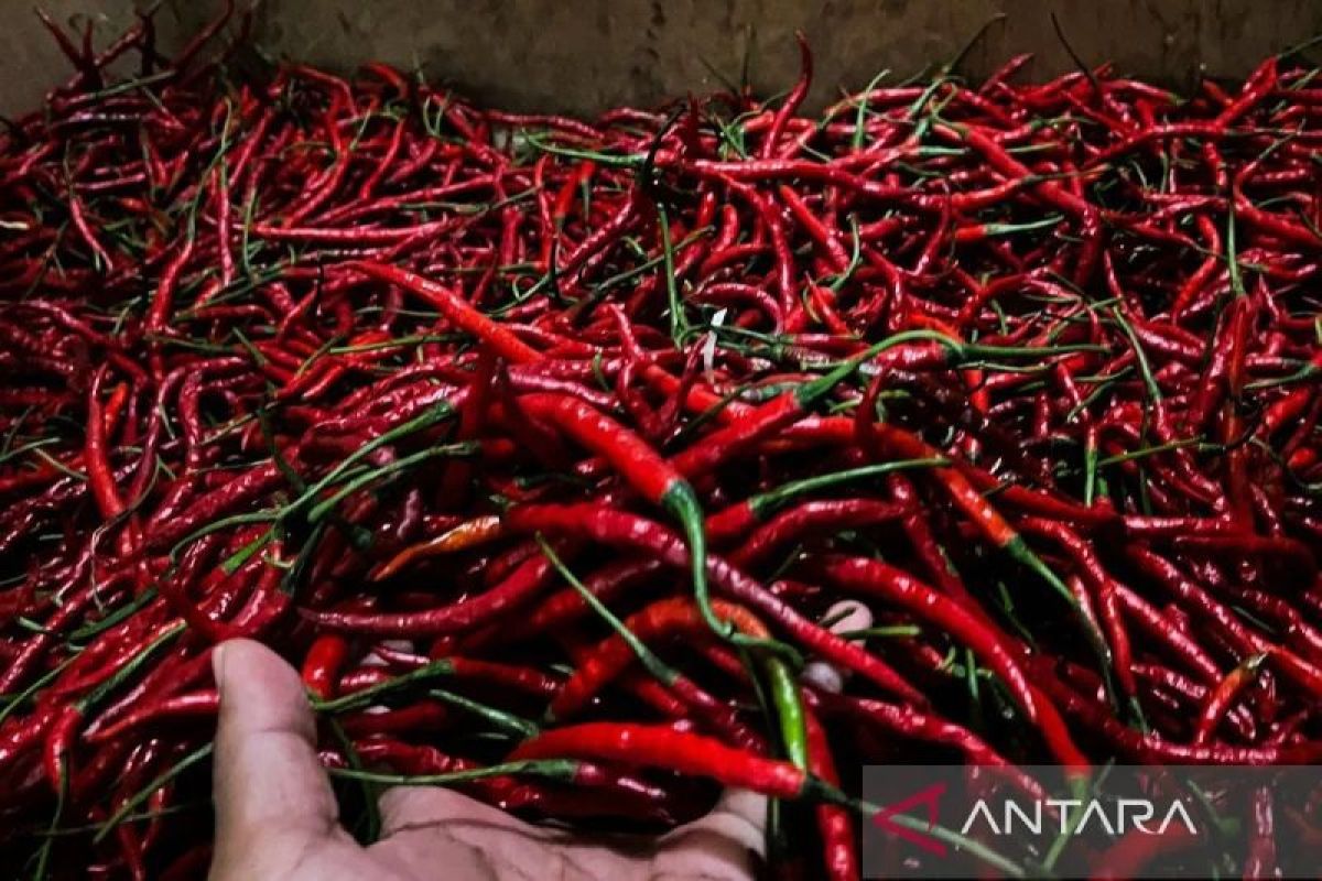 PIHPS: Harga bawang merah Rp40.000 per kg, cabai rawit Rp48.000 per kg
