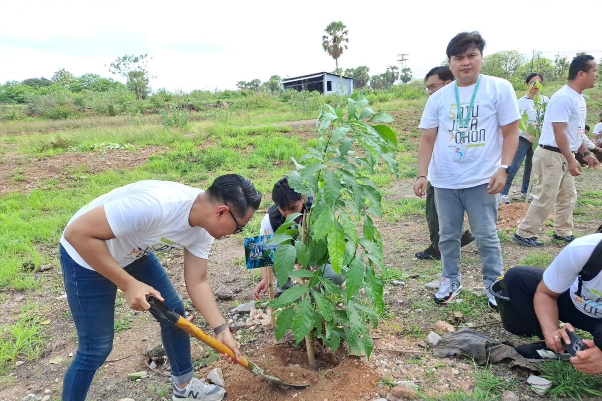 Angkasa Pura Indonesia menanam 400 anakan pohon di Kupang