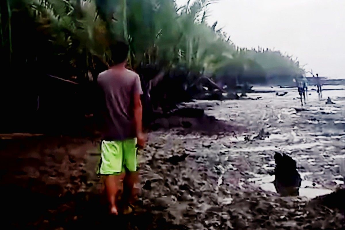 Seorang kakek hilang saat cari udang di sungai, diduga diterkam buaya