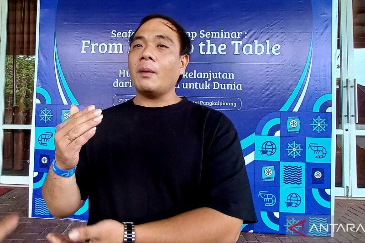 Harga udang vaname di Bangka Tengah turun, tambak kosong dan karyawan dirumahkan