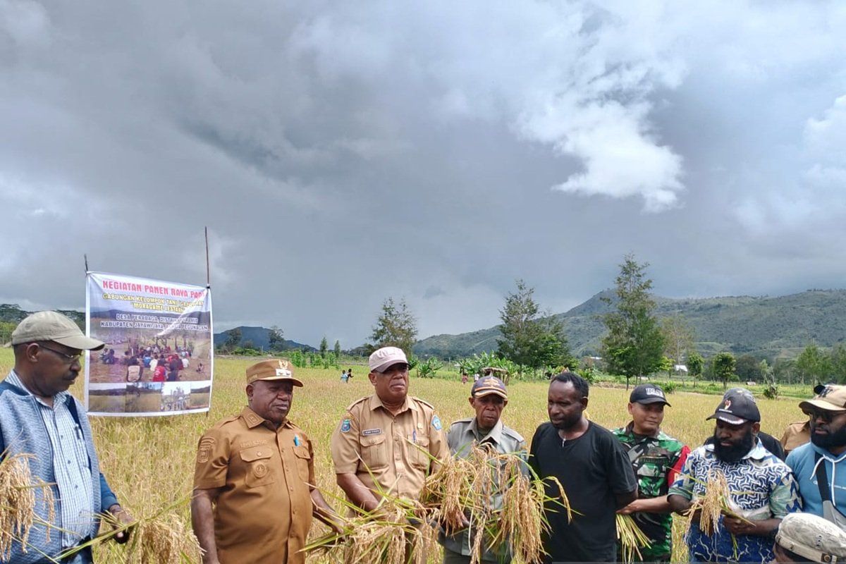Kodim 1702 dan Pemkab Jayawijaya kolaborasi sukseskan ketahanan pangan