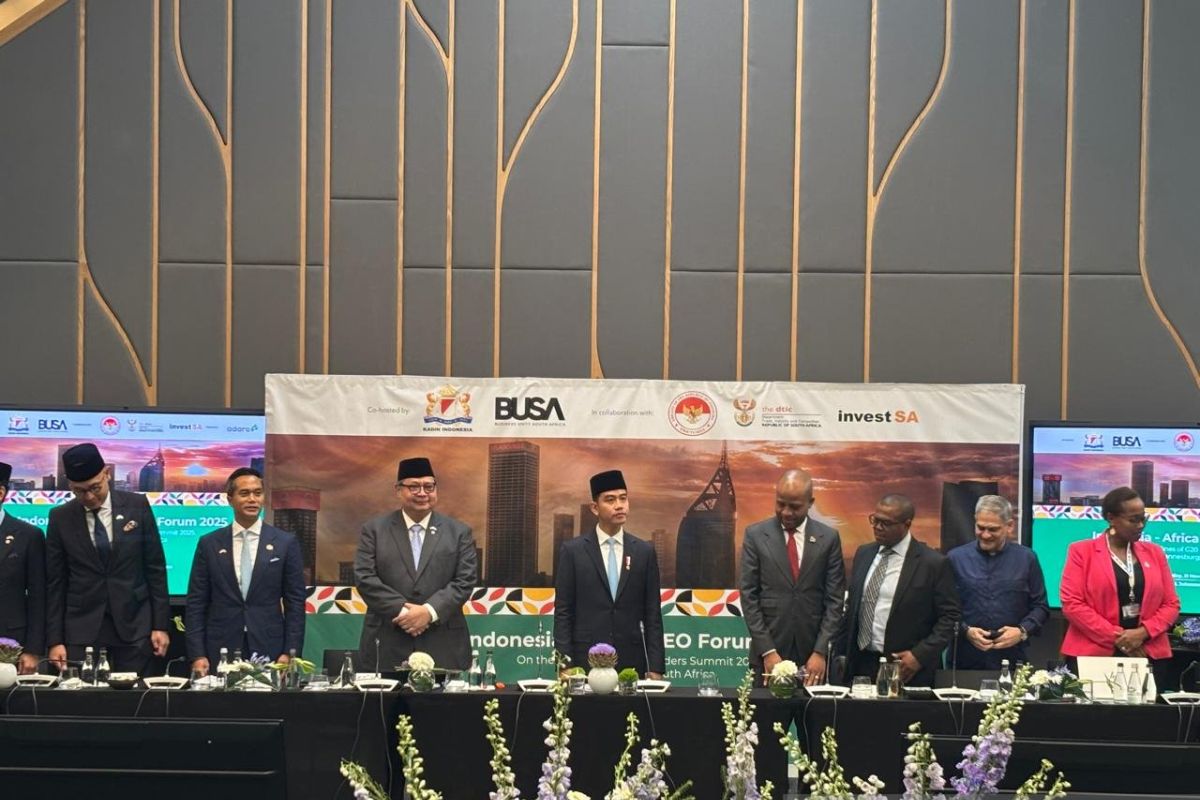 RI affirms commitment to expanding outbound investment in South Africa