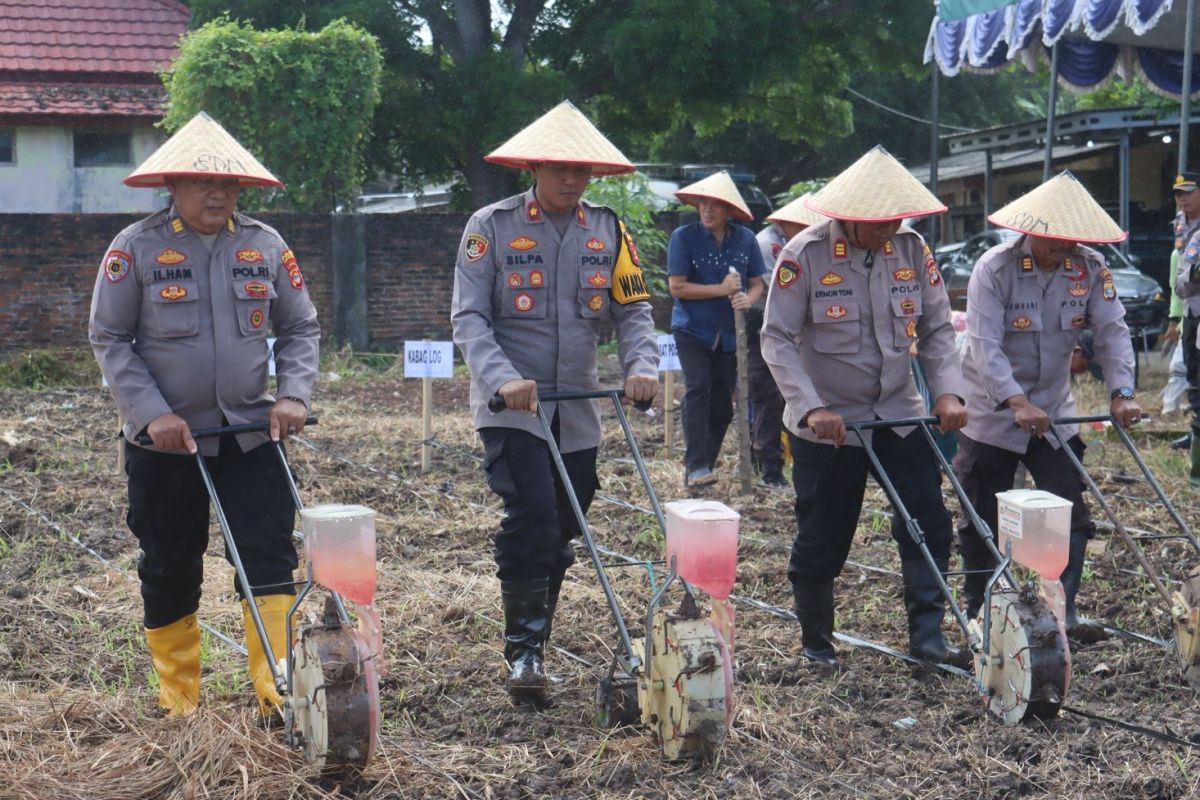 Polres Lamsel manfaatkan lahan tidur jadi areal pertanian produktif
