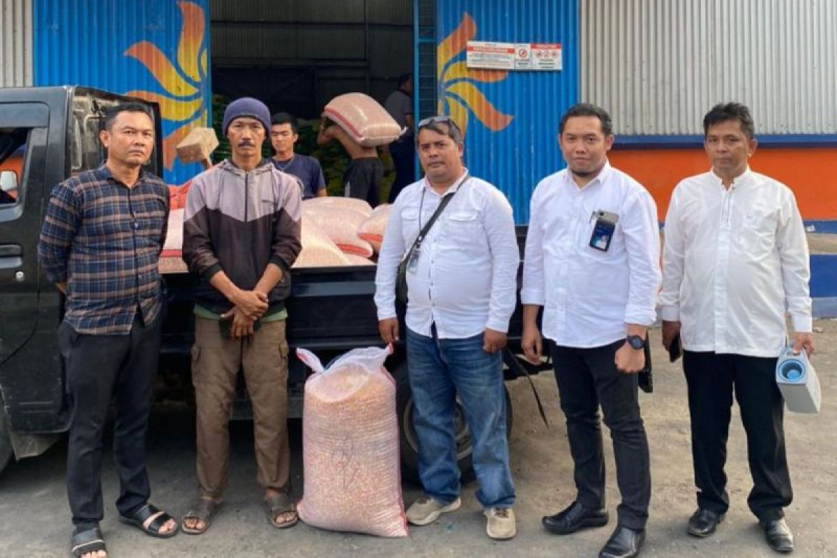 Bulog Rejang Lebong serap jagung petani 39,45 ton