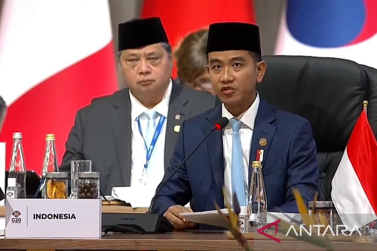 Indonesia presses respect of diverse development strategies at G20
