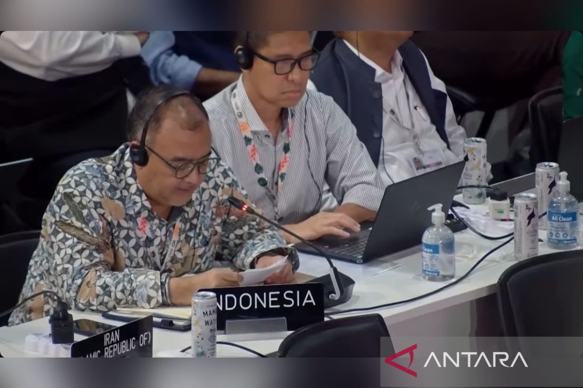 COP30, Indonesia belum sejalan data terpilah Belm Gender Action Plan