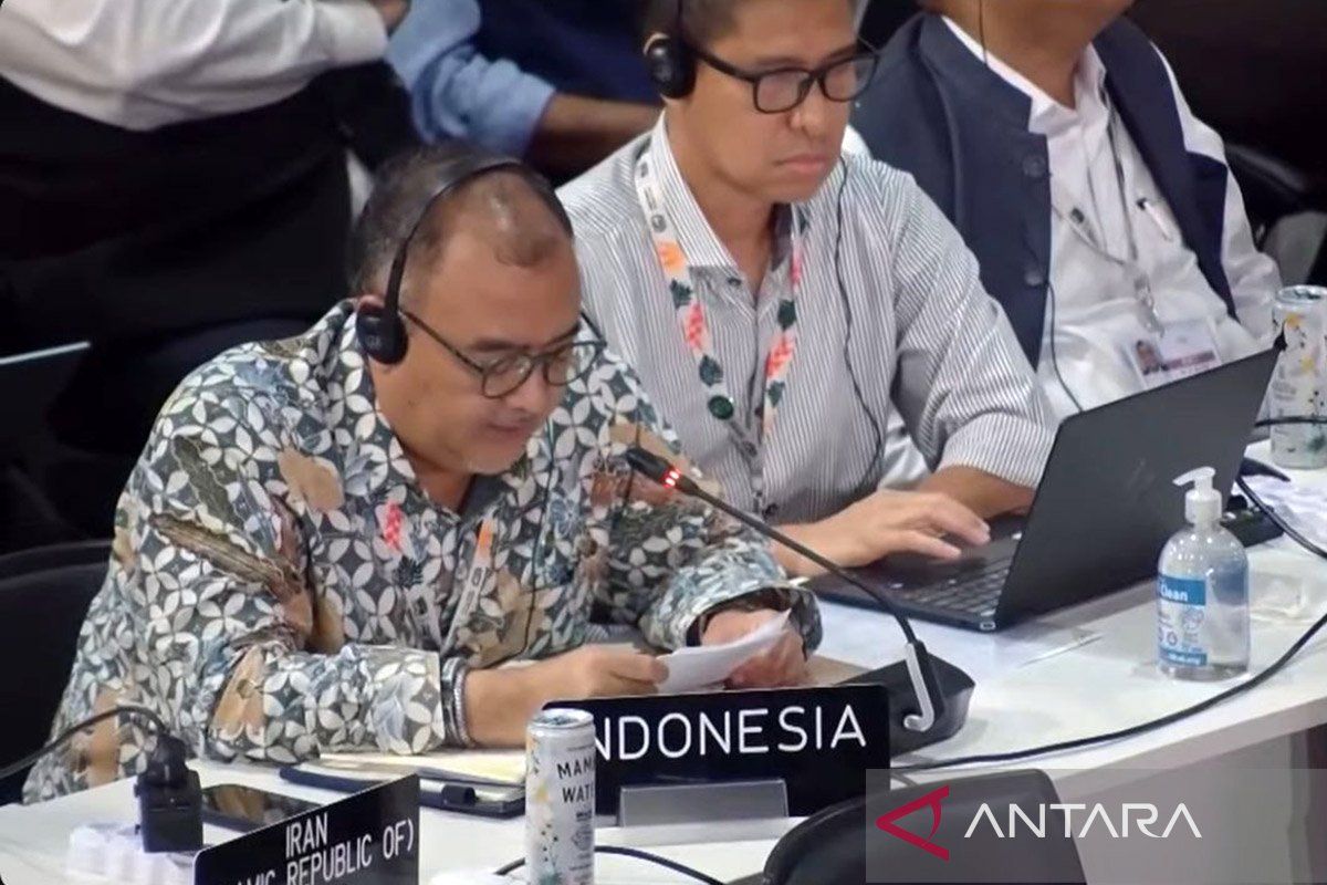 COP30, Indonesia belum sejalan data terpilah Belm Gender Action Plan