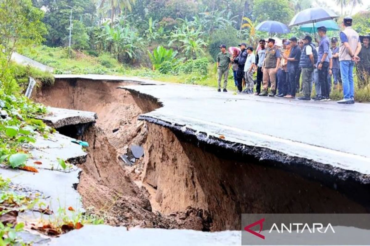 Cuaca ekstrem, Padang Pariaman dilanda banjir hingga pohon tumbang