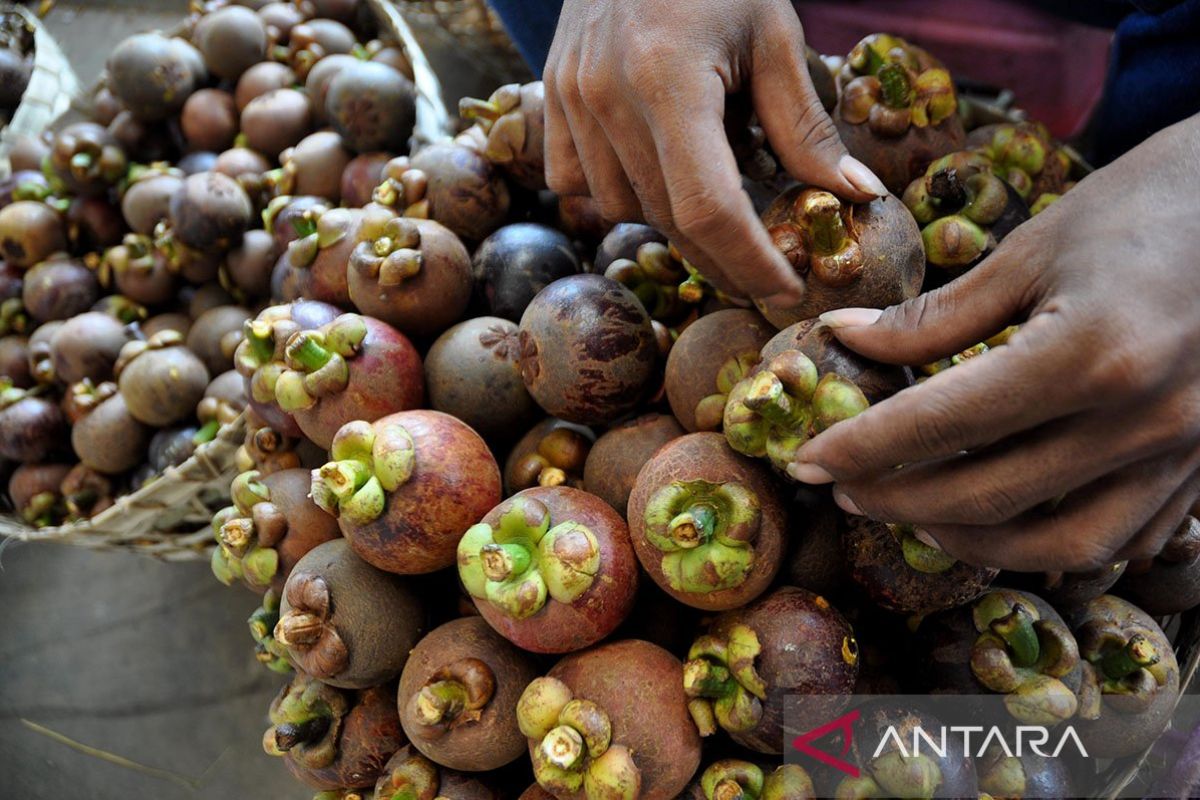 Purwakarta wujudkan ekonomi hijau dan berkelanjutan