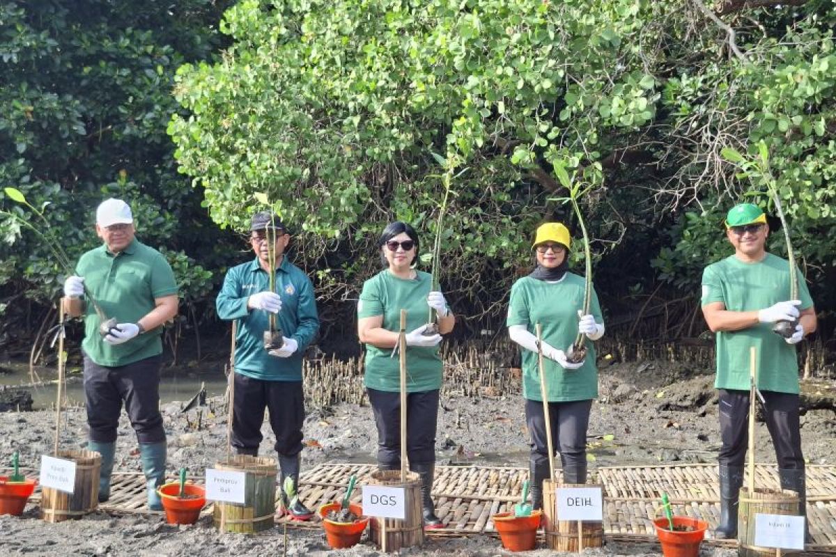 Kompensasi emisi KKI, BI tanam 1.000 mangrove di Teluk Benoa Bali