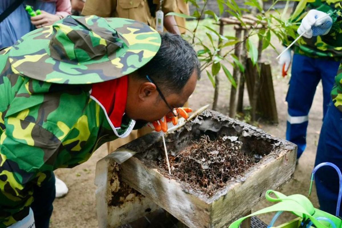 Pertamina Sumbagsel berhasil kembangkan UMKM Madu Bangka beromzet miliaran