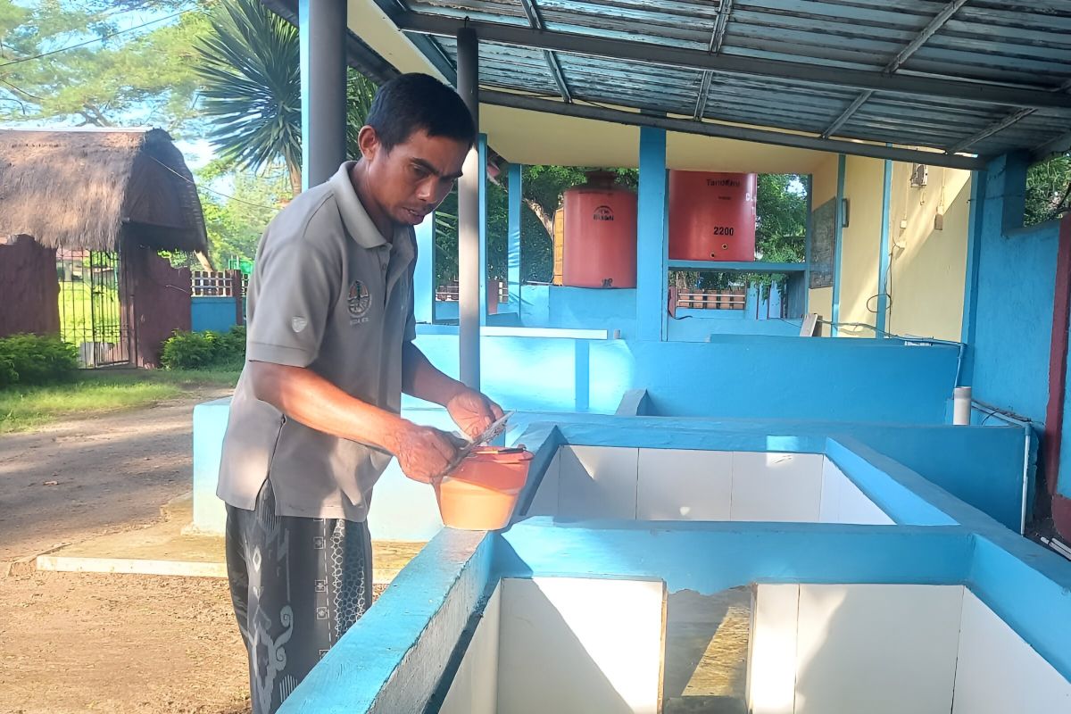 Menumbuhkan kesadaran masyarakat untuk selamatkan penyu