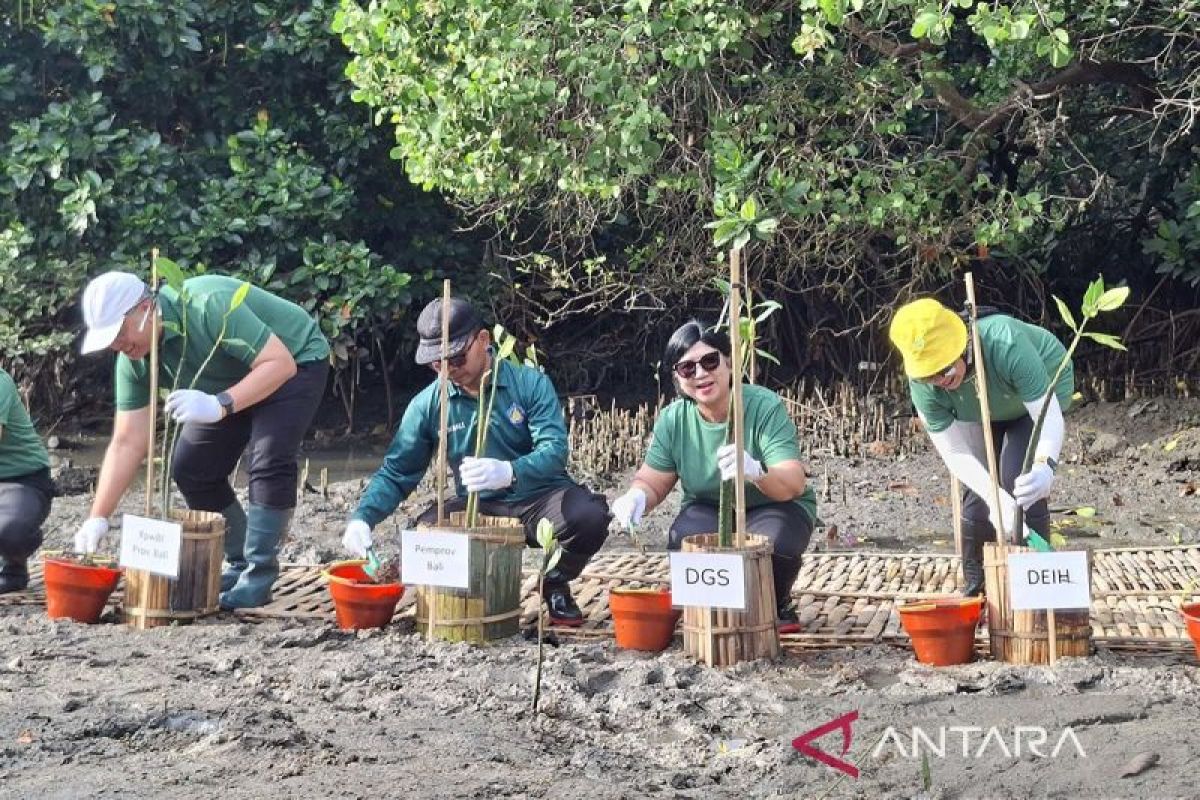 BI suntik insentif Rp36,38 triliun ke bank untuk pembiayaan hijau