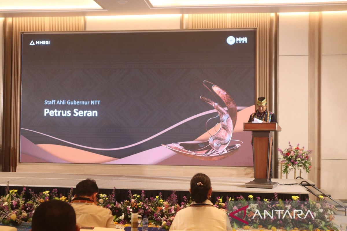 Pemprov NTT tekankan kolaborasi dalam pembangunan hotel di Labuan Bajo