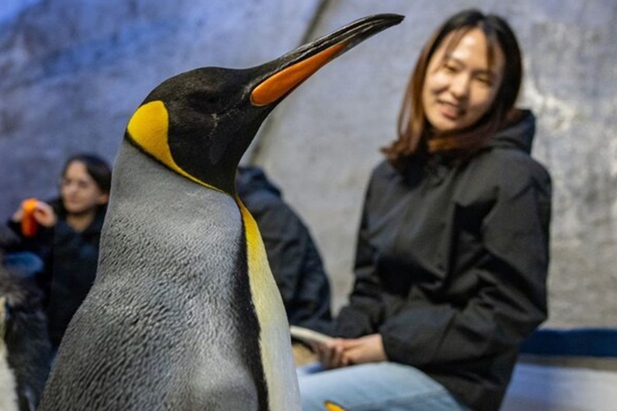 Banyan Group's Inaugural Rainforest Festival Expands with Curated Paid Experiences from Mandai Wildlife Group