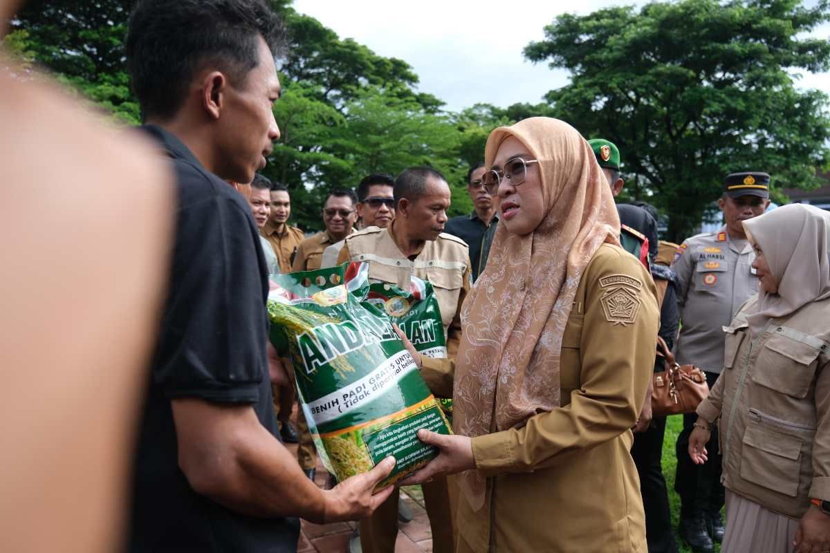 Pemkab Gowa salurkan program Mandiri Benih guna memperkuat pertanian