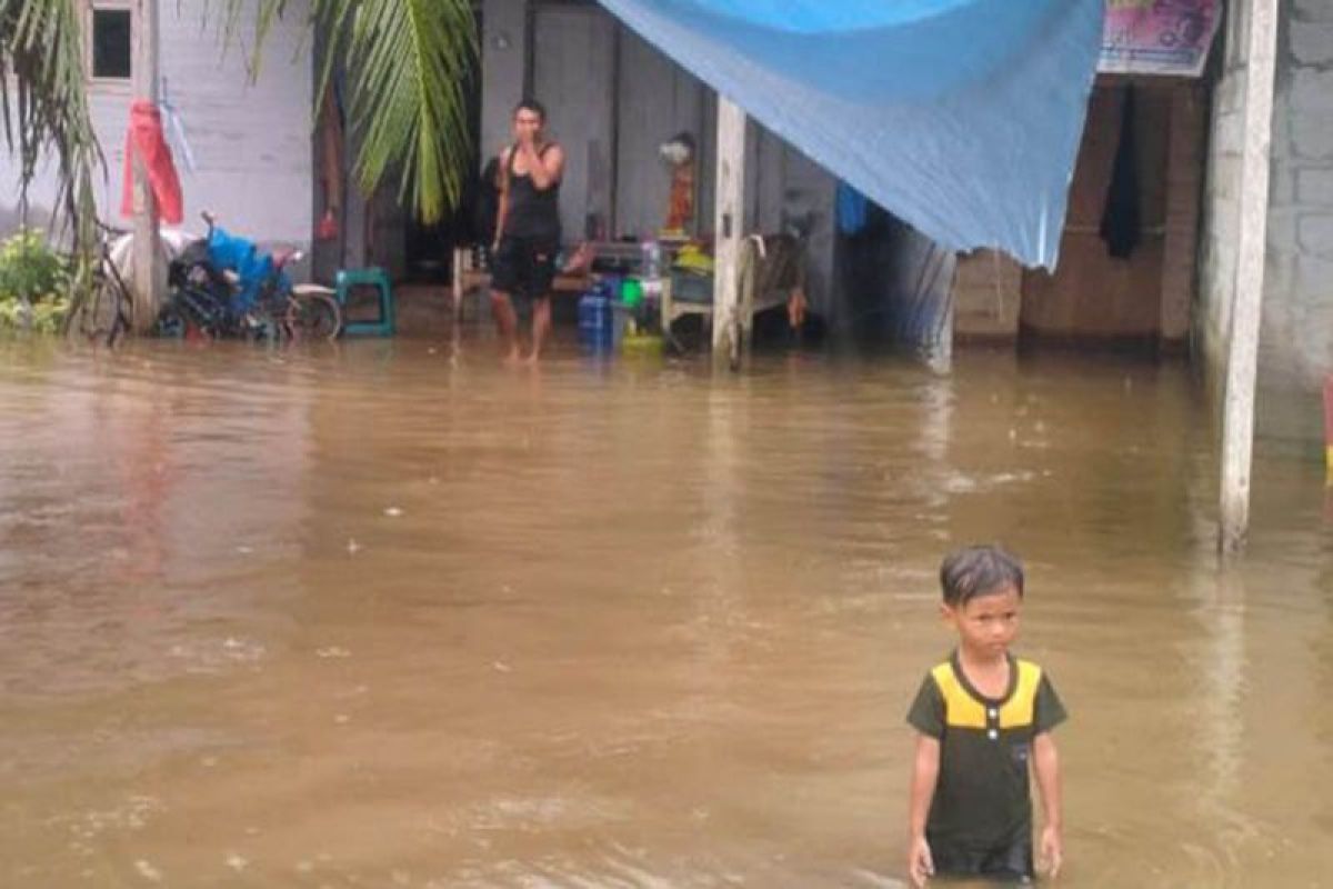BPBD sebut sebanyak 3.698 rumah di Aceh Timur terendam banjir