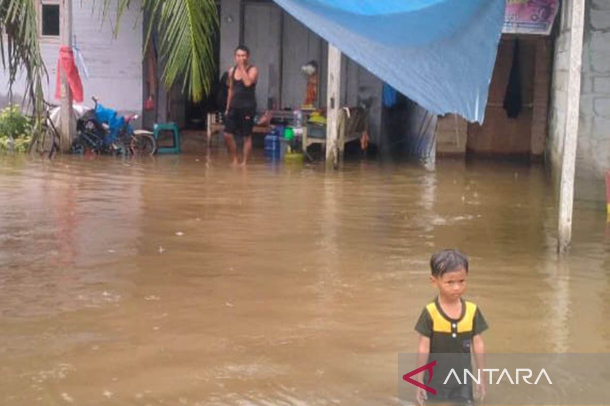 BPBD: Sebanyak 3.698 rumah di Aceh Timur terendam banjir
