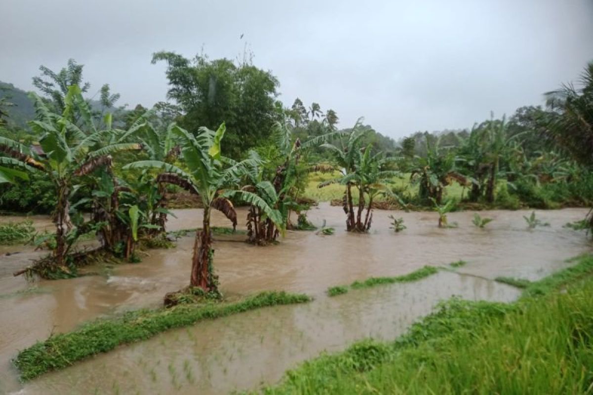 Tiga nagari di Tanah Datar terdampak bencana akibat hujan deras dan angin kencang