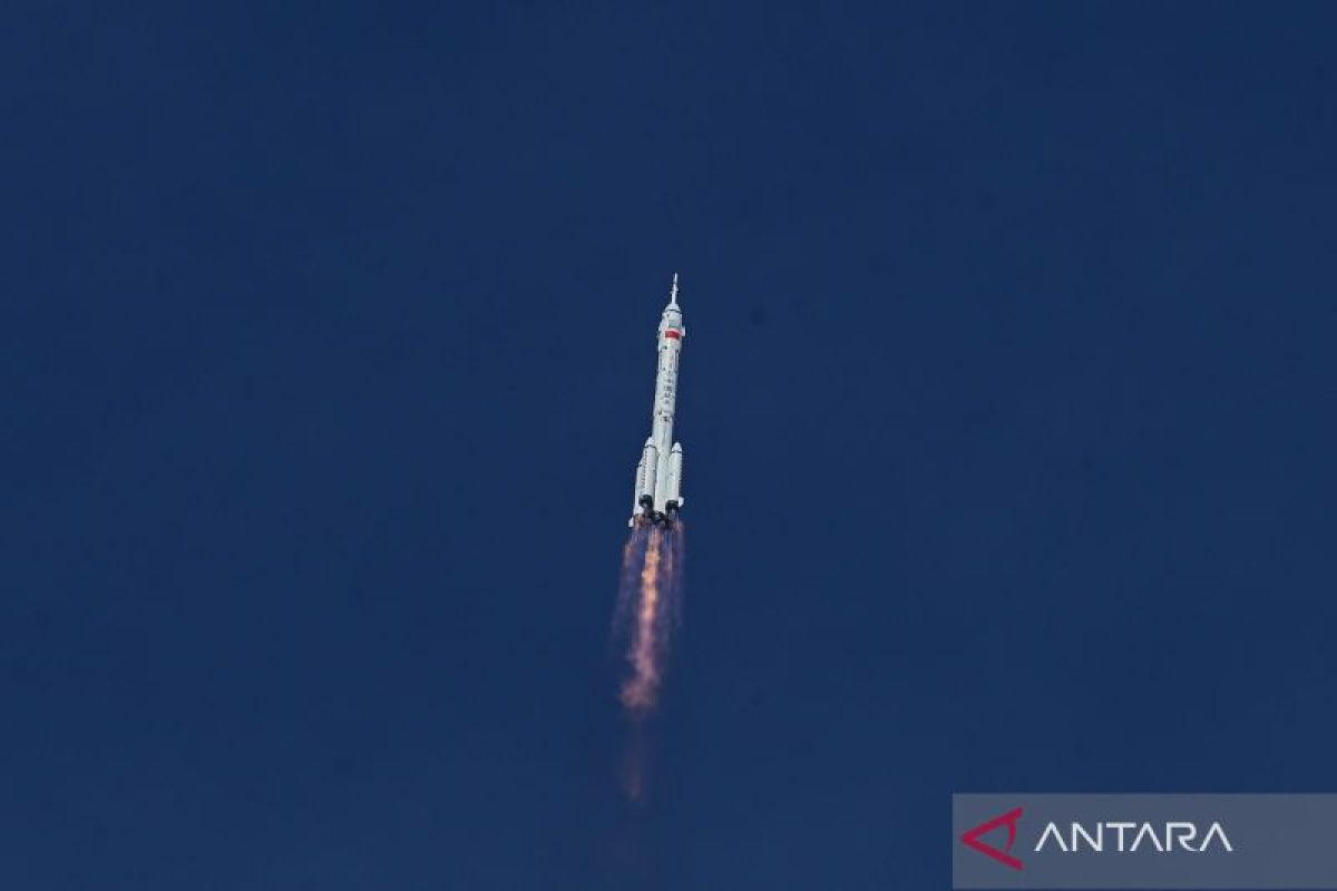 Masyarakat dilibatkan dalam penamaan empat tikus yang dikirim ke luar angkasa