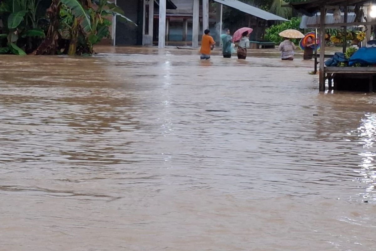 Sungai Barang Pasaman meluap,  Lalu lintas jalan nasional di Aia Gadang Pasaman Barat terputus