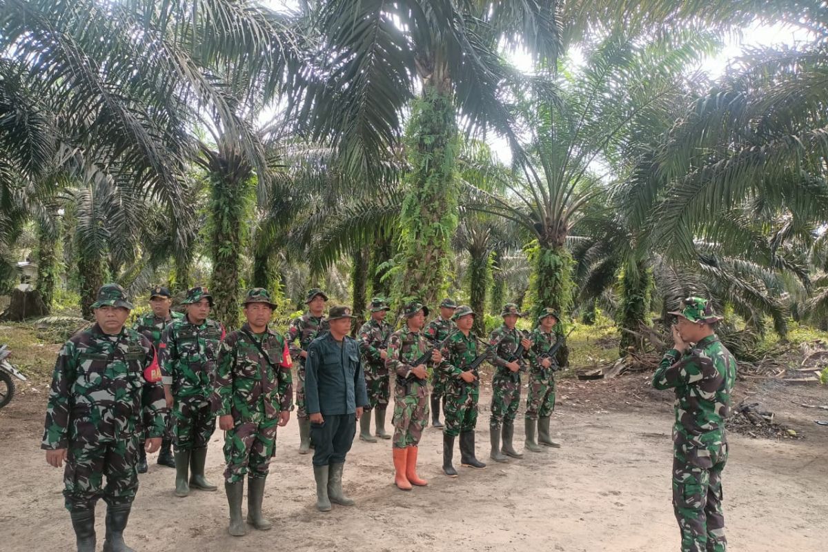 Kemenhut perketat keamanan rumah gajah Domang di TN Tesso Nilo