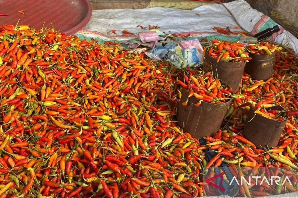 Update harga pangan PIHPS: Cabai rawit merah sentuh Rp51.150 per kg