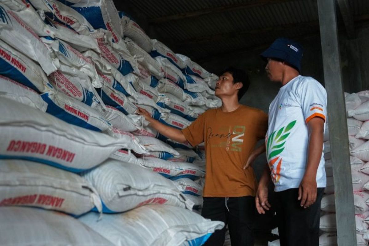 Petani di Bogor senang harga pupuk subsidi turun 20 persen, gabah naik