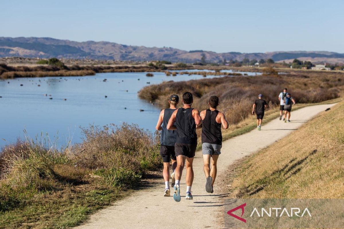 Cara Selandia Baru mengembangkan pariwisata