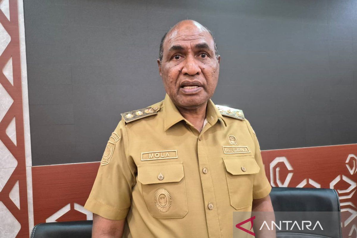 Wagub Lakotani: Rumah sakit di Papua Barat wajib layani pasien kritis