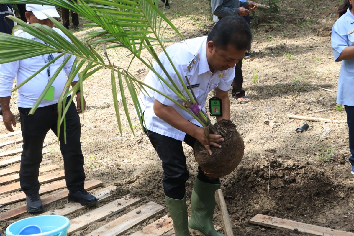 Pemkab Kulon Progo menerima bantuan pengembangan kelapa dari Kementan