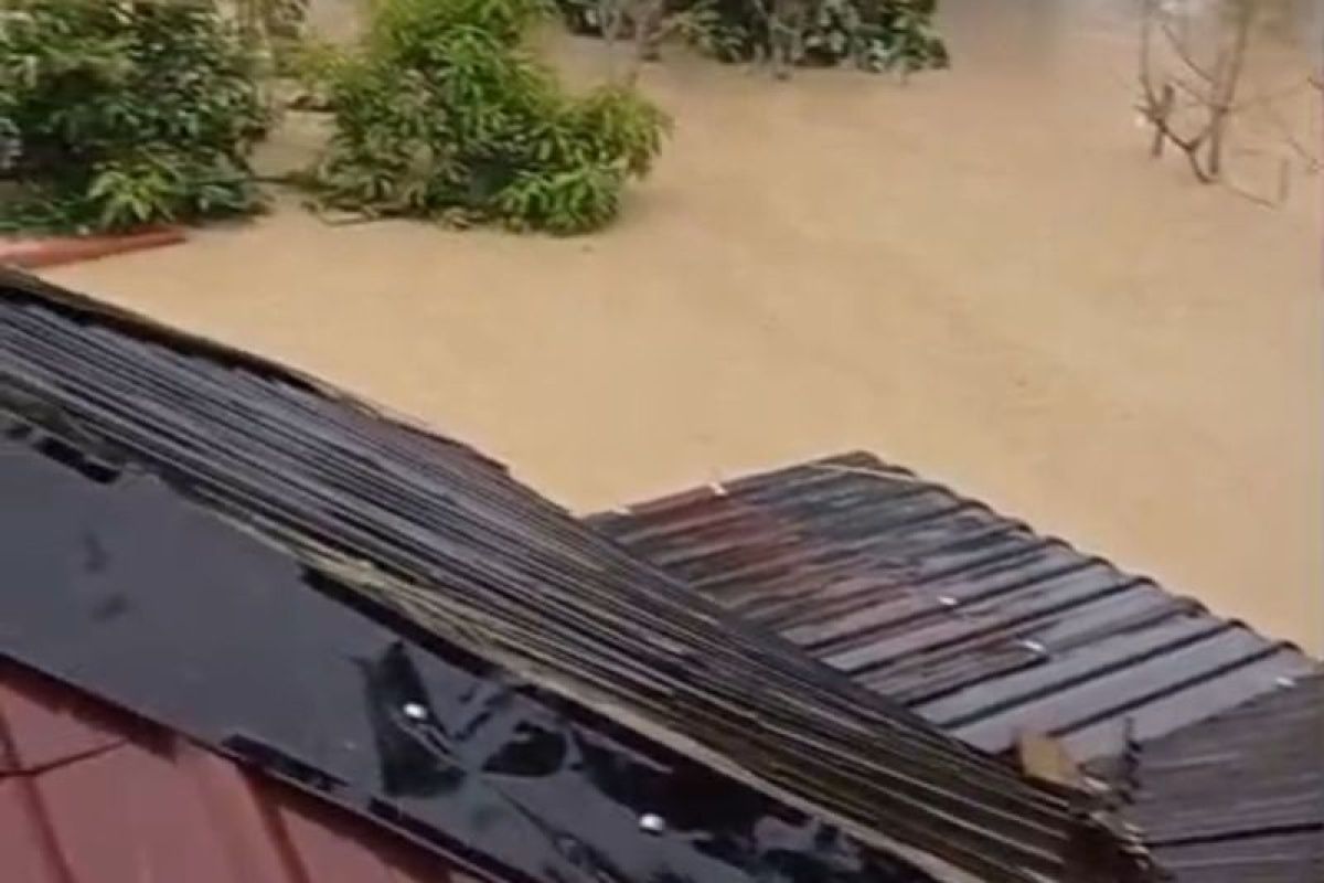 Puluhan warga Aceh Timur bertahan di atap rumah terjebak banjir