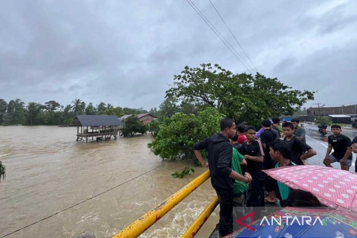 BPBD: Sebanyak 29.709 warga Aceh Timur terdampak banjir