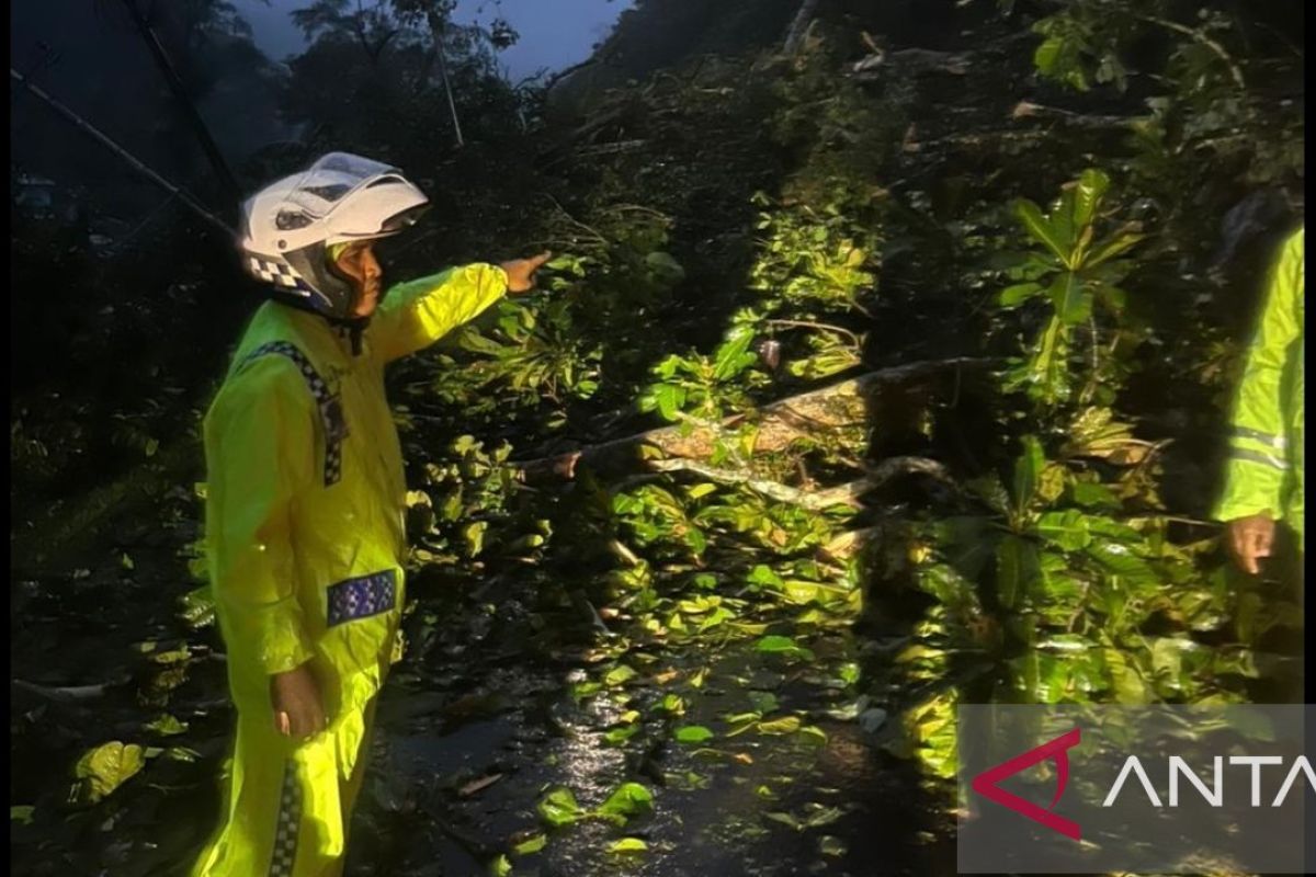 Jalur Padang-Bukittinggi putus imbas longsor di Lembah Anai