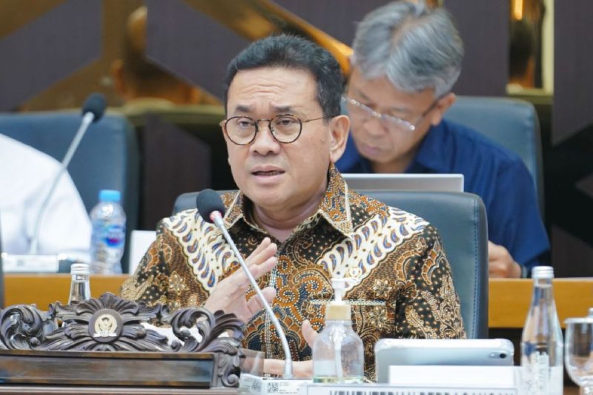 Mendag sebut RUU Komoditas Strategis jadi acuan kebijakan terpadu